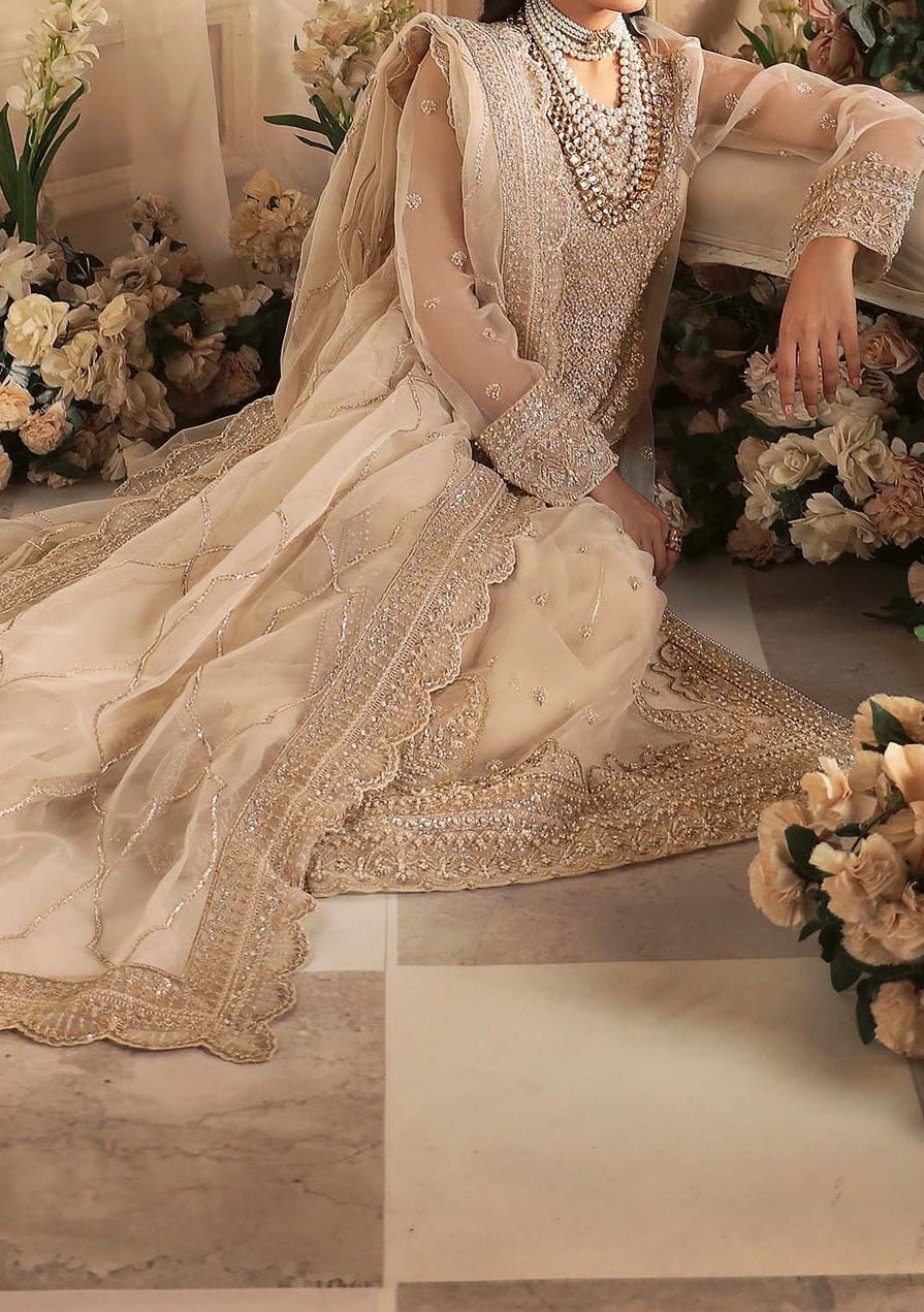 Akbar Aslam Azucena Pakistani Luxury Organza Dress - db27210