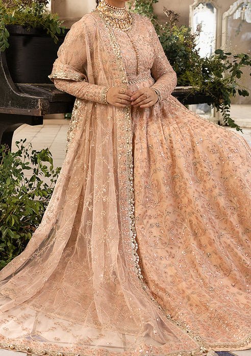 Asim Jofa Khwab Pakistani Net Anarkali - db24502