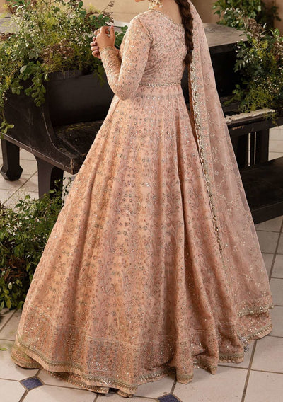 Asim Jofa Khwab Pakistani Net Anarkali - db24502