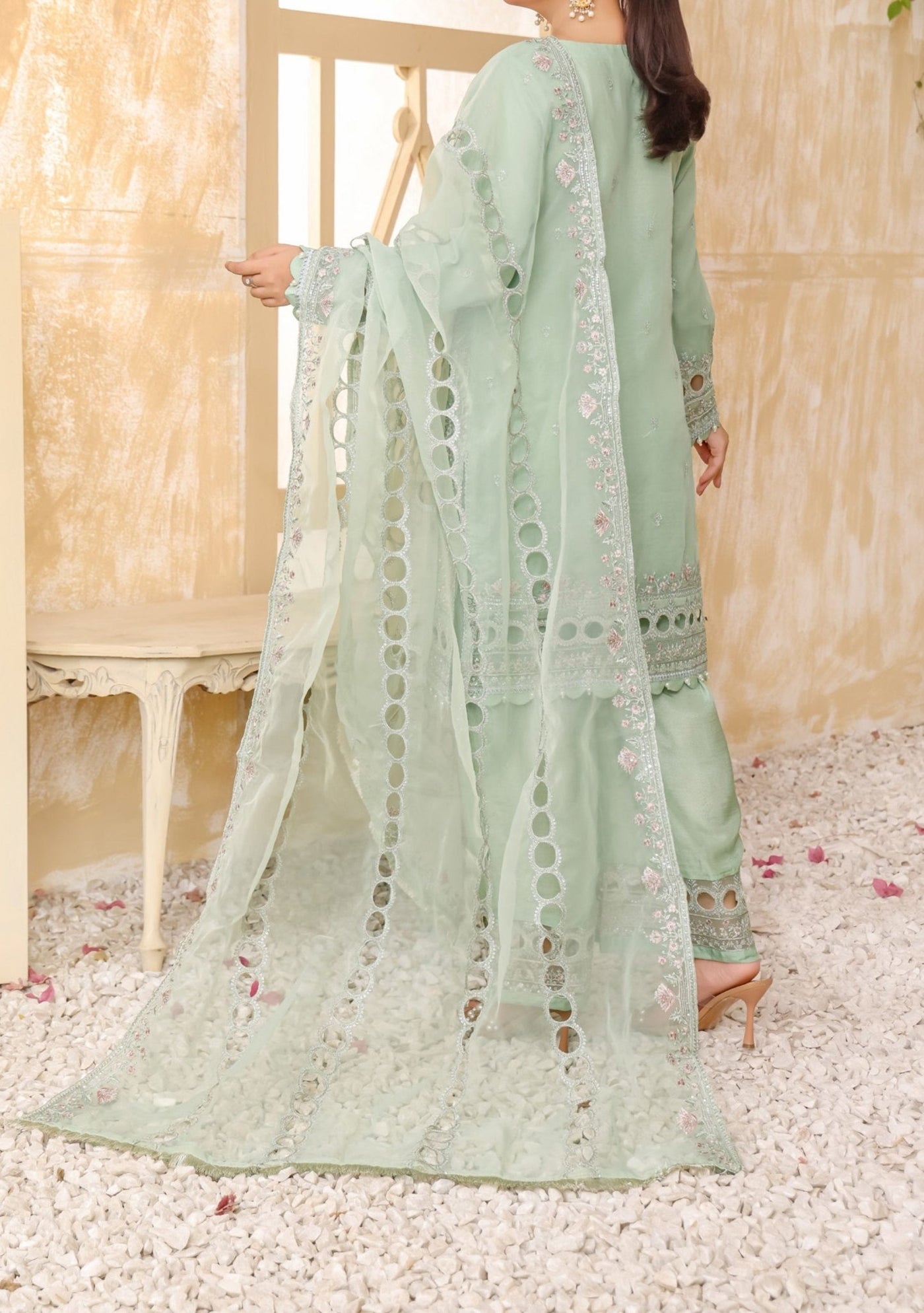 Bint - E - Noor Rania Embroidered Organza Dress - db29664