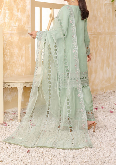 Bint - E - Noor Rania Embroidered Organza Dress - db29664
