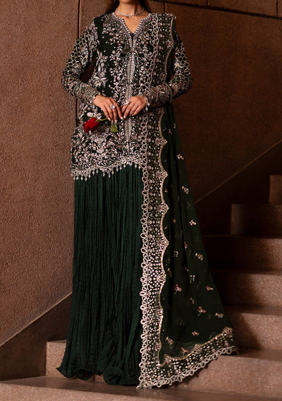 Emaan Adeel Arista Pakistani Chiffon Dress - db27245