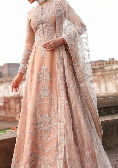 Flossie Pakistani Luxury Organza Anarkali - db27426