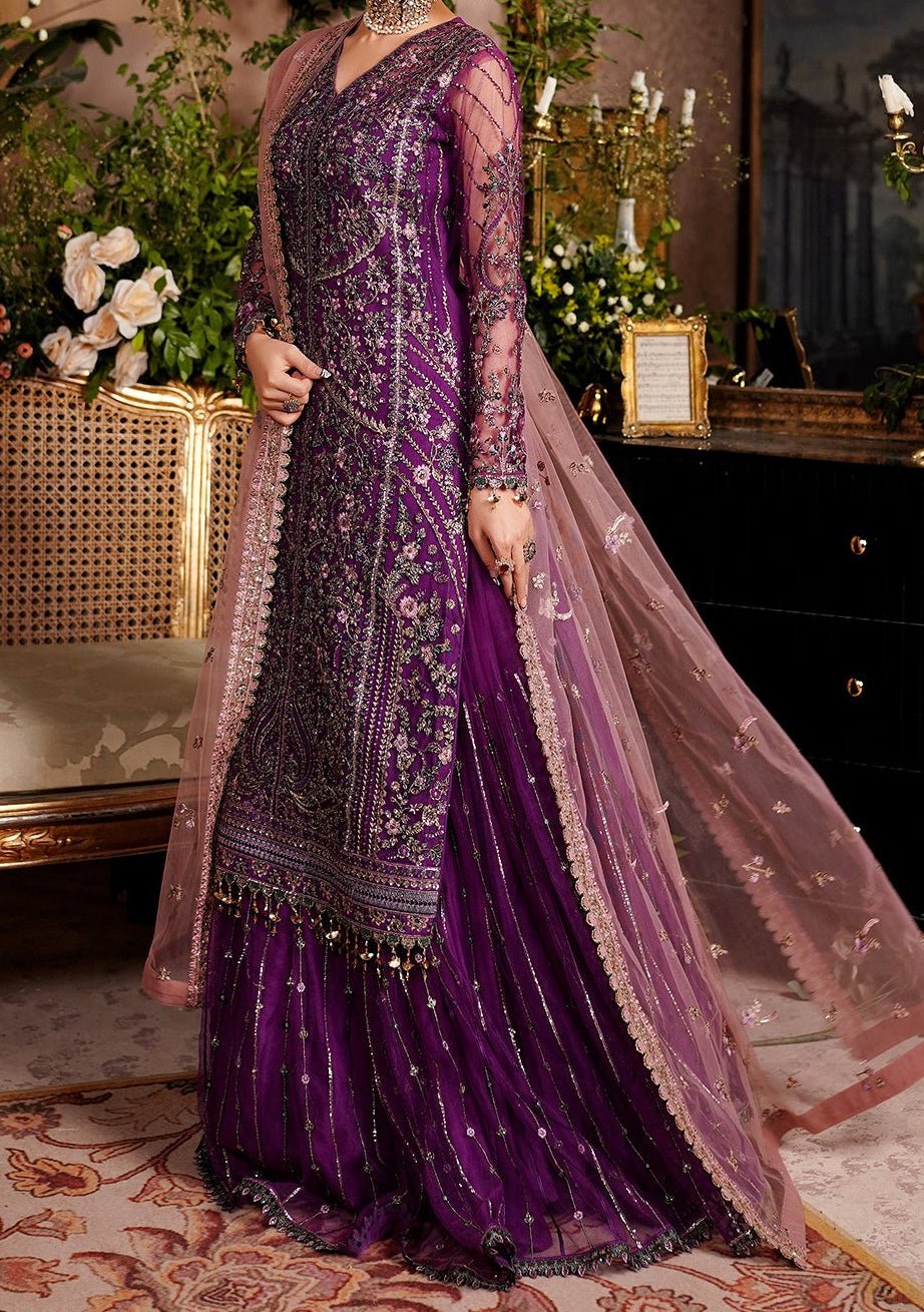 Maryam's Aarzu Pakistani Luxury Net Dress - db27631