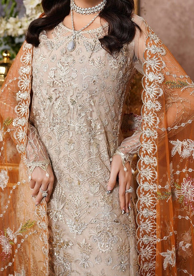 Maryam's Aarzu Pakistani Luxury Net Dress - db27625