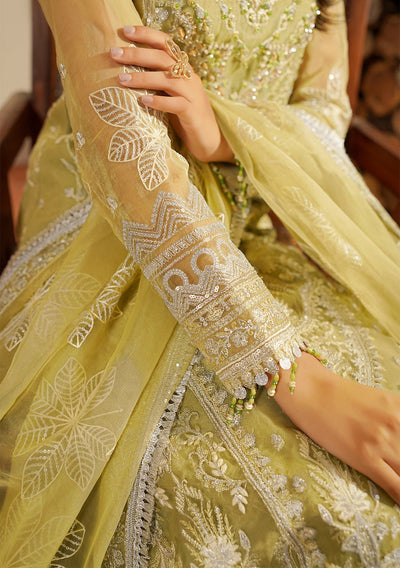 Maryam's Hayat Pakistani Luxury Organza Dress - db26845