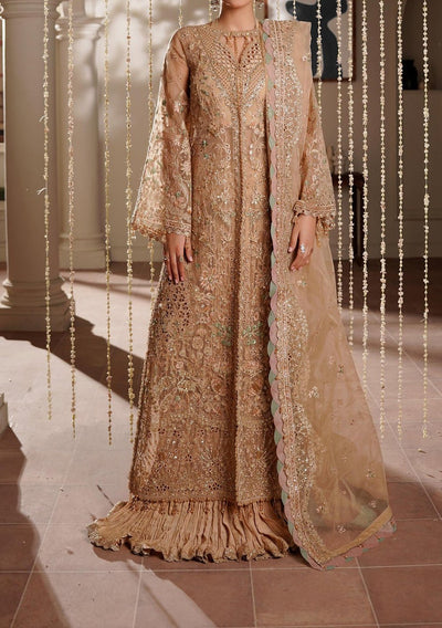 Maryam's Zeenat Pakistani Luxury Organza Dress - db30462