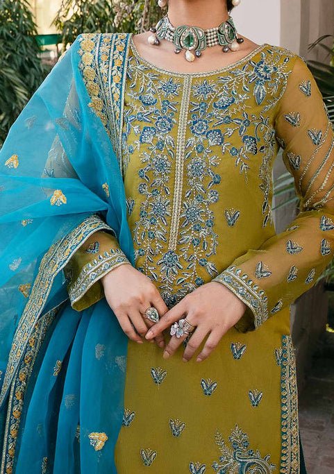 Akbar Aslam Davina Pakistani Luxury Organza Dress - db24749