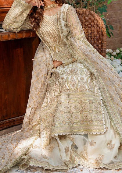 Akbar Aslam Mehrunisa Pakistani Luxury Net Dress - db24737