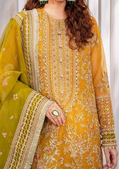 Akbar Aslam Rohi Pakistani Luxury Organza Dress - db24733