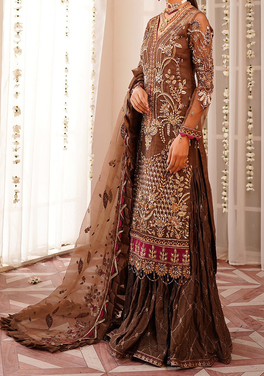 Maryam's Pakistani Luxury Organza Dress - db22399