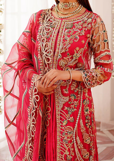 Maryam's Pakistani Luxury Organza Dress - db22398