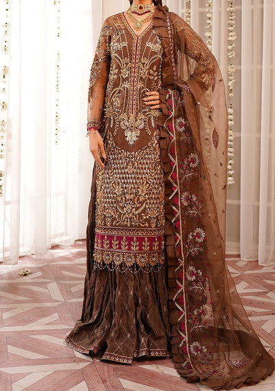 Maryam's Pakistani Luxury Organza Dress - db22399