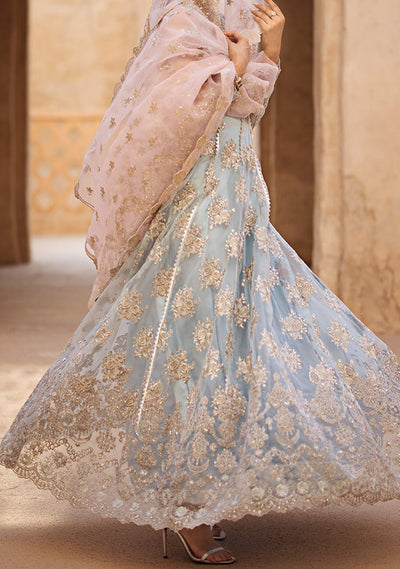 Zainab Chottani Parinaz Pakistani Organza Anarkali - db24152